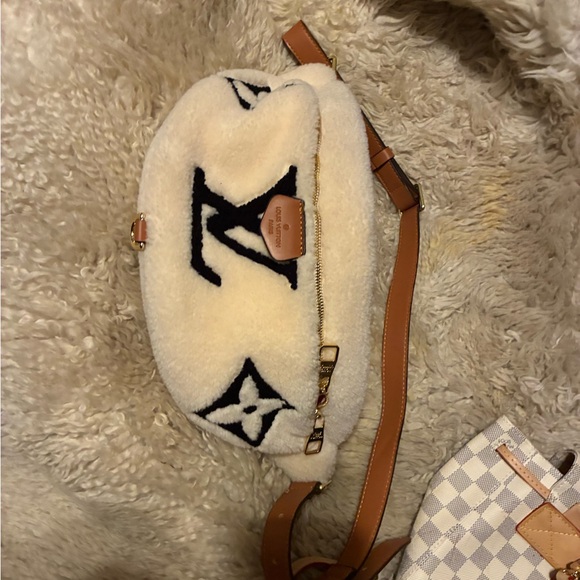Louis Vuitton Monogram Teddy Bumbag - Picture 5 of 10